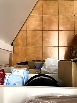 Snapshot of Mindnorthcam2 chatting on November 17, 2025, 7:36 am Mindnorthcam2 online show from November 17, 2025, 7:36 am