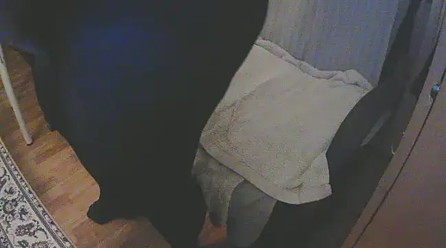 Snapshot of szadamo chatting on December 11, 2024, 4:53 pm szadamo online show from December 11, 2024, 4:53 pm