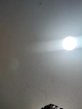 6lue6a6y69 online show from December 22, 2024, 1:12 am