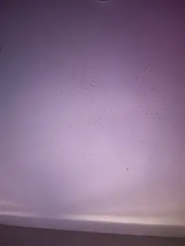 6lue6a6y69 online show from November 1, 2025, 5:20 am