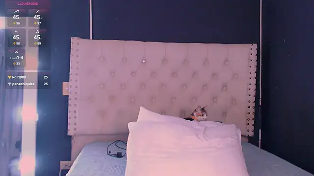 Snapshot of valen_thompson chatting on January 5, 2025, 12:52 am valen thompson online show from January 5, 2025, 12:52 am