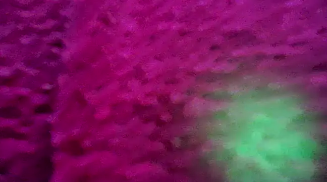 CZboobs online show from February 26, 2025, 8:54 pm