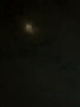 jesusthedonkey online show from November 30, 2025, 1:31 am