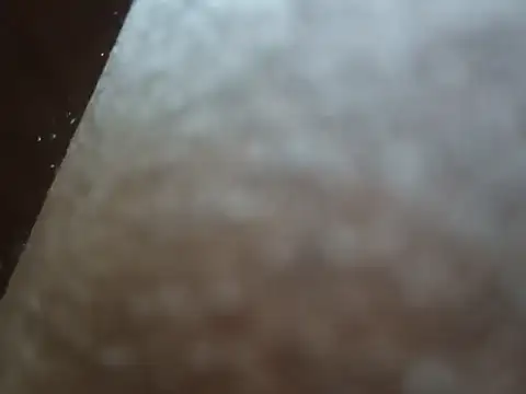 PrinceNoAlbert online show from December 6, 2024, 3:33 pm