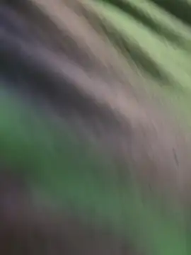 Snapshot of K100x chatting on November 15, 2025, 2:31 am K100x online show from November 15, 2025, 2:31 am