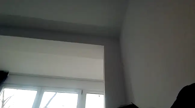 FallenDevil online show from December 27, 2024, 1:18 pm