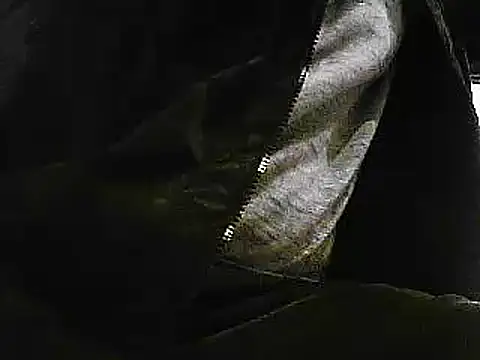 Snapshot of papiculo86 chatting on January 29, 2025, 9:33 am papiculo86 online show from January 29, 2025, 9:33 am