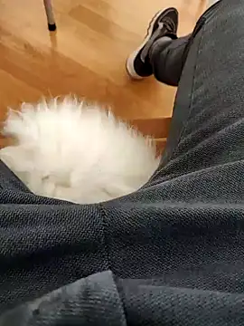 Snapshot of papiculo86 chatting on February 2, 2025, 9:08 am papiculo86 online show from February 2, 2025, 9:08 am