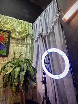 uma patna000 online show from February 11, 2025, 7:33 am