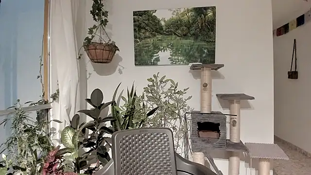 Snapshot of sexnherbs chatting on February 11, 2026, 12:37 am sexnherbs online show from February 11, 2026, 12:37 am