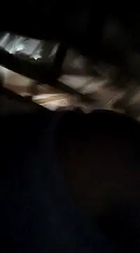 Snapshot of General62 chatting on December 5, 2024, 9:17 pm General62 online show from December 5, 2024, 9:17 pm