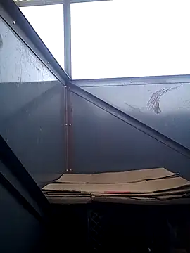 Snapshot of General62 chatting on March 7, 2025, 9:40 am General62 online show from March 7, 2025, 9:40 am