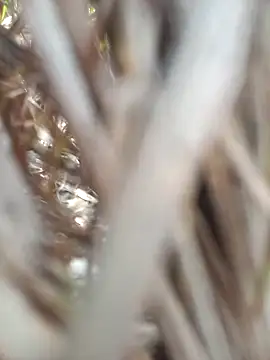 FinableKnee online show from September 19, 2025, 4:47 am