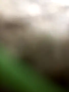 FinableKnee online show from October 6, 2025, 3:04 am