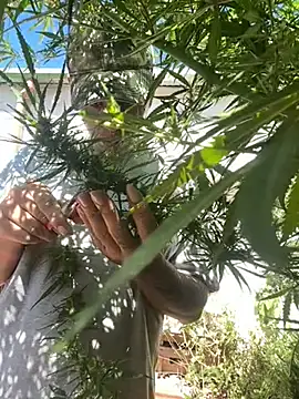 Alicbranca online show from March 22, 2026, 3:26 pm