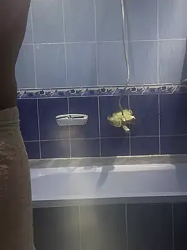 Snapshot of Arabien_Pharaoh- chatting on March 20, 2025, 5:58 pm Arabien Pharaoh- online show from March 20, 2025, 5:58 pm