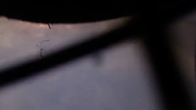 Cordt27 online show from February 12, 2026, 4:02 pm