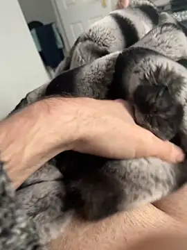 Furdale online show from December 2, 2024, 12:40 pm