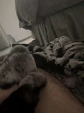 Furdale online show from January 7, 2025, 2:08 pm