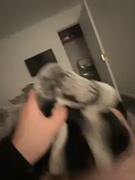 Furdale online show from January 17, 2025, 5:19 pm