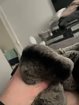 Furdale online show from February 10, 2025, 1:55 pm