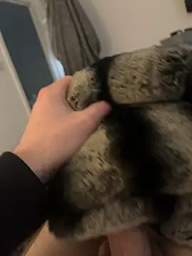 Furdale online show from February 12, 2025, 2:54 pm