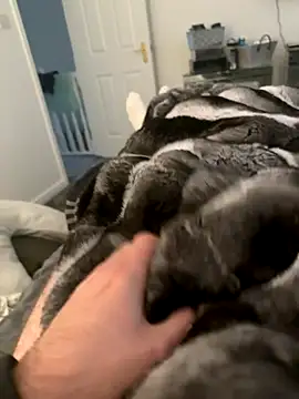 Furdale online show from September 10, 2025, 4:29 pm