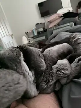 Furdale online show from October 30, 2025, 2:18 pm