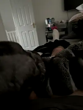 Furdale online show from November 7, 2025, 2:28 pm