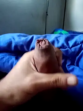 rodovlaz online show from April 2, 2026, 10:57 am