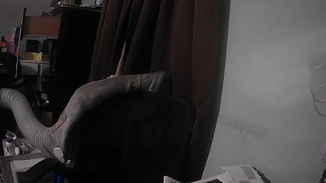 Snapshot of nickytheehawtie chatting on July 8, 2026, 9:03 am nickytheehawtie online show from July 8, 2026, 9:03 am