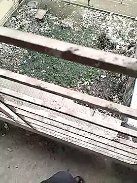 chittagong77 online show from February 22, 2026, 9:52 am