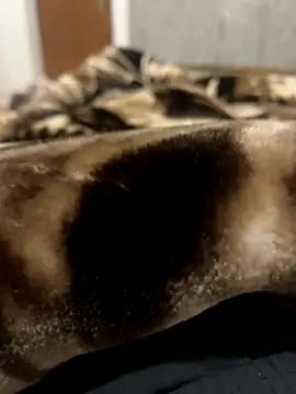 bigshow112 online show from November 13, 2025, 4:22 am