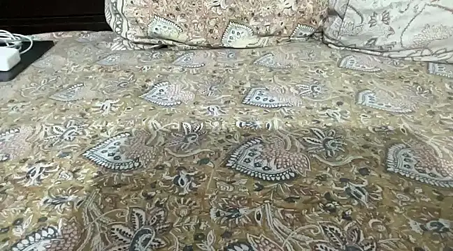 Snapshot of Greekartsguru chatting on January 12, 2025, 7:31 pm Greekartsguru online show from January 12, 2025, 7:31 pm