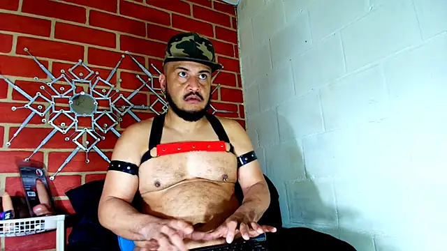 the master foal  online show from November 19, 2025, 3:01 pm