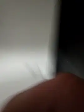 WhiteMeat069 online show from December 3, 2024, 12:13 am