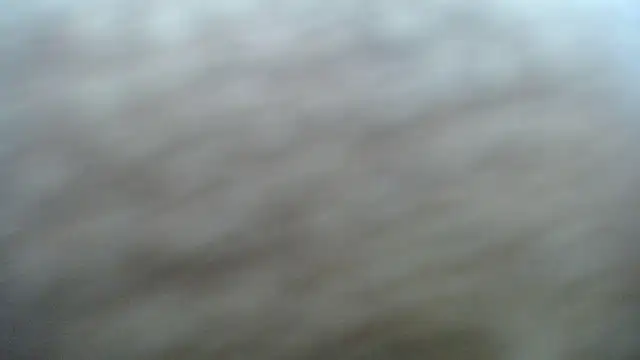 DAPHNE doll online show from November 6, 2025, 3:35 pm