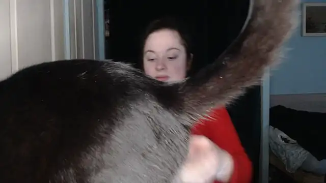 Snapshot of ryhhnnagold99 chatting on February 8, 2026, 2:53 pm ryhhnnagold99 online show from February 8, 2026, 2:53 pm