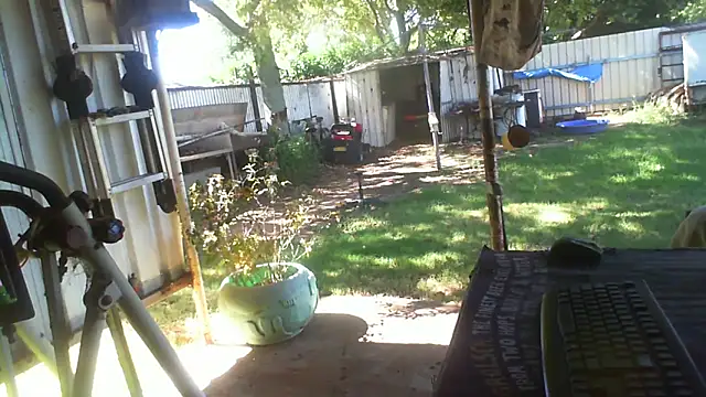 herbie010666 online show from April 14, 2026, 4:07 am