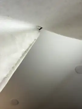 Snapshot of GeorginaJones chatting on January 18, 2025, 2:25 am GeorginaJones online show from January 18, 2025, 2:25 am