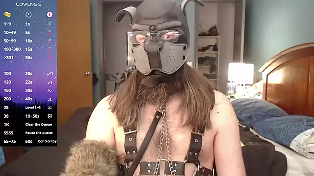 Snapshot of kinkywolf429 chatting on February 23, 2025, 4:35 pm kinkywolf429 online show from February 23, 2025, 4:35 pm