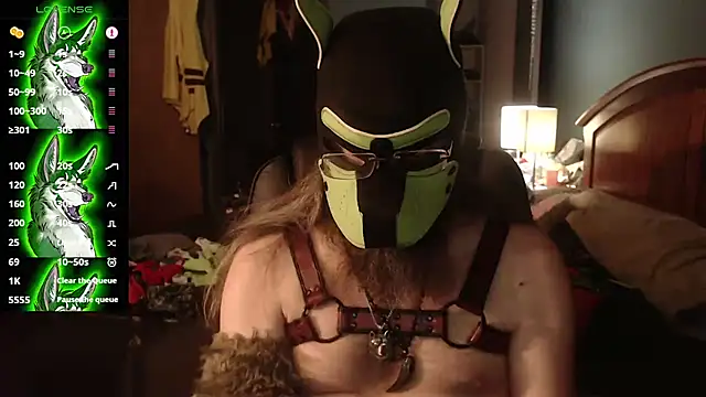 Snapshot of kinkywolf429 chatting on July 18, 2026, 3:00 am kinkywolf429 online show from July 18, 2026, 3:00 am