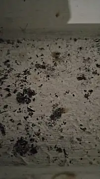 Snapshot of GlenXCan chatting on November 16, 2025, 2:06 am GlenXCan online show from November 16, 2025, 2:06 am