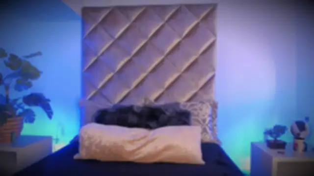 malaia hills online show from November 10, 2025, 6:40 pm