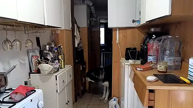 VanessaDoyle online show from February 26, 2026, 8:57 am