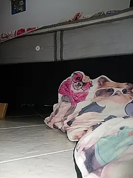 Van3orgasm4me online show from February 13, 2026, 7:04 am