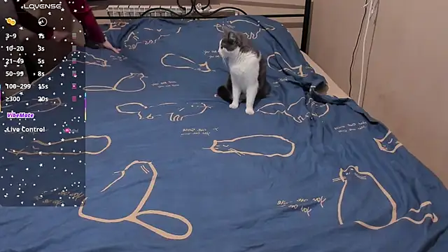 Snapshot of eva_zero chatting on March 3, 2026, 2:01 pm eva zero online show from March 3, 2026, 2:01 pm