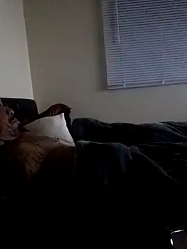 Snapshot of yellowwetfox chatting on March 8, 2026, 5:55 am yellowwetfox online show from March 8, 2026, 5:55 am