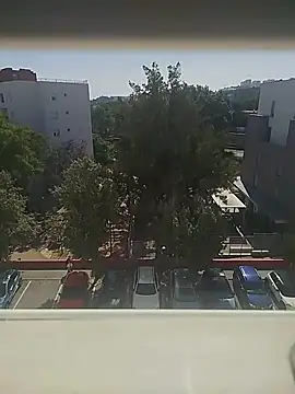 manecas3132 online show from May 28, 2026, 3:53 pm