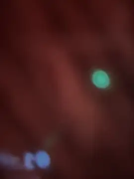 Snapshot of _Danna chatting on February 14, 2026, 11:07 am Danna online show from February 14, 2026, 11:07 am